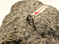 Diamant, Sibirien, Russland