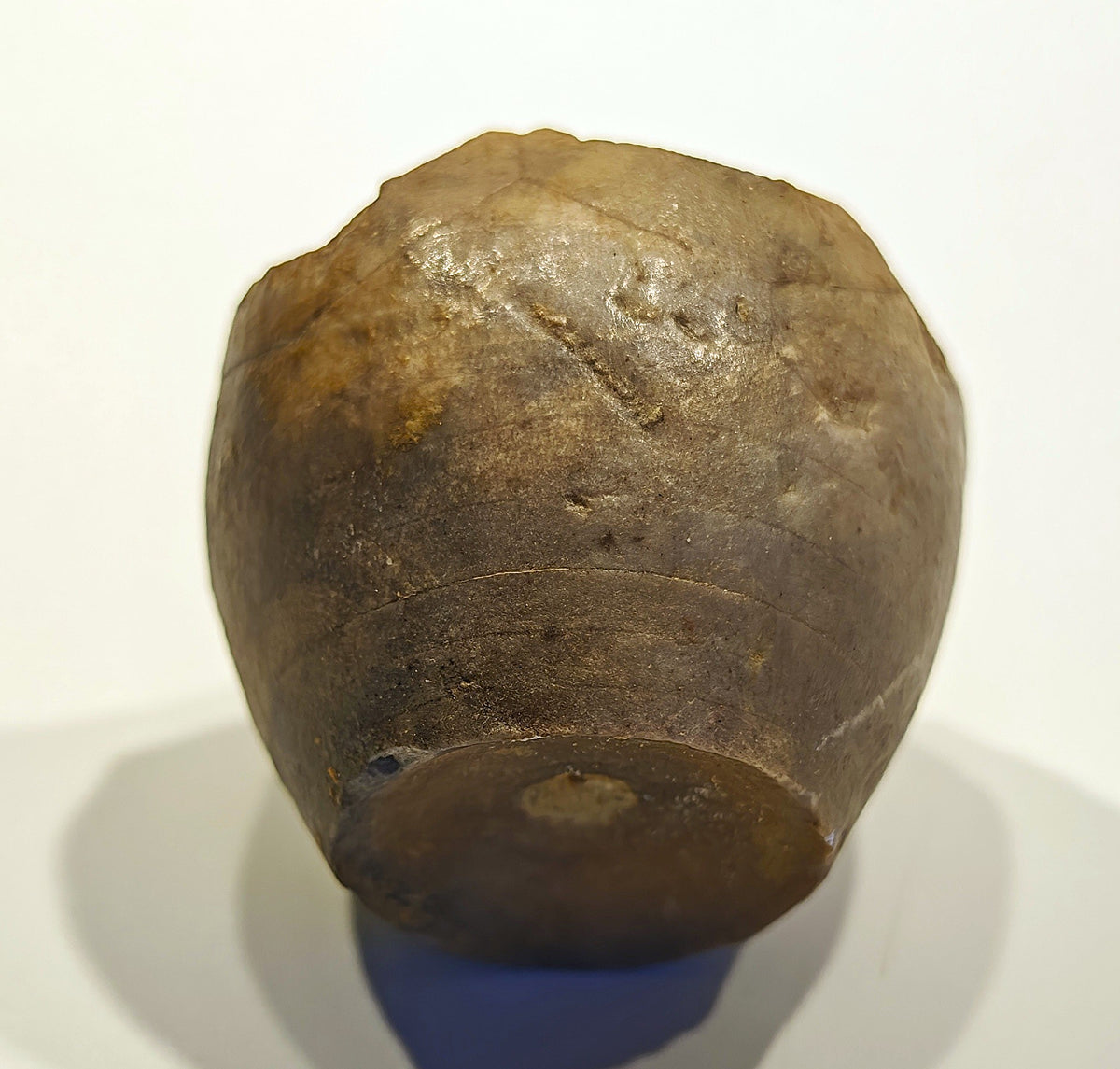 Seelilienkelch, Apiocrinites roissyanus (D'ORBIGNI)