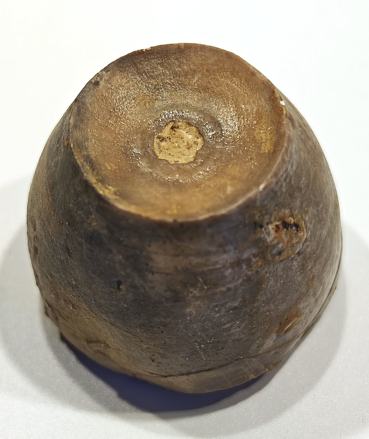 Seelilienkelch, Apiocrinites roissyanus (D'ORBIGNI)